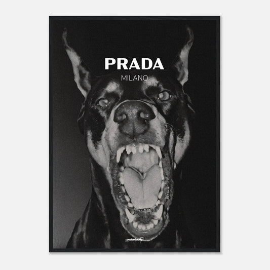 fd5c2c01-2512-4c3d-9cee-ba9ce86661af